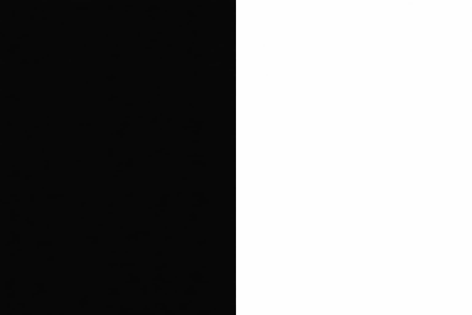 Two flat fields of colour divided by a hard vertical line. Left side black, right side white. Nothing else.