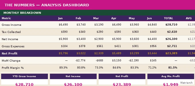 Preview of The Numbers spreadsheet showing the monthly P&L dashboard